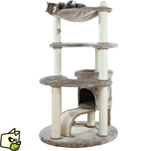 arbre a chat avec griffoir pas cher